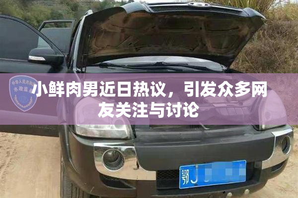 小鲜肉男近日热议，引发众多网友关注与讨论