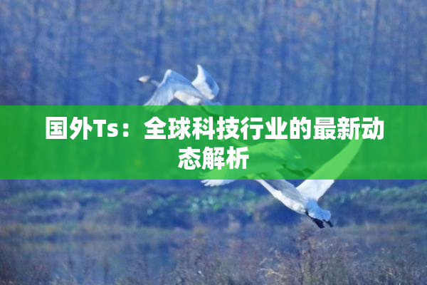国外Ts：全球科技行业的最新动态解析