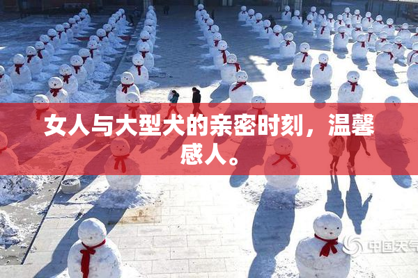 女人与大型犬的亲密时刻，温馨感人。
