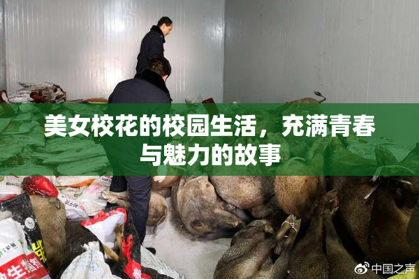 美女校花的校园生活，充满青春与魅力的故事