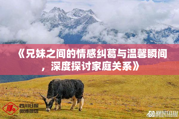 《兄妹之间的情感纠葛与温馨瞬间，深度探讨家庭关系》