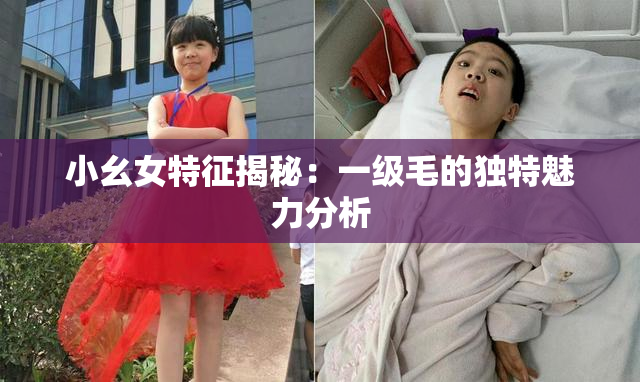 小幺女特征揭秘：一级毛的独特魅力分析