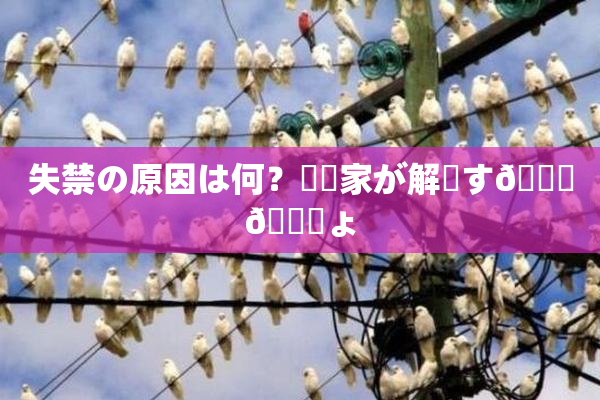 失禁の原因は何？専門家が解説す🌃🎆ょ
