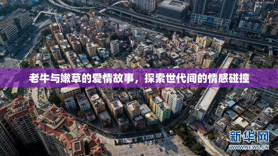 老牛与嫩草的爱情故事，探索世代间的情感碰撞