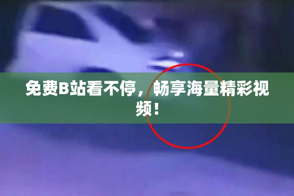免费B站看不停，畅享海量精彩视频！