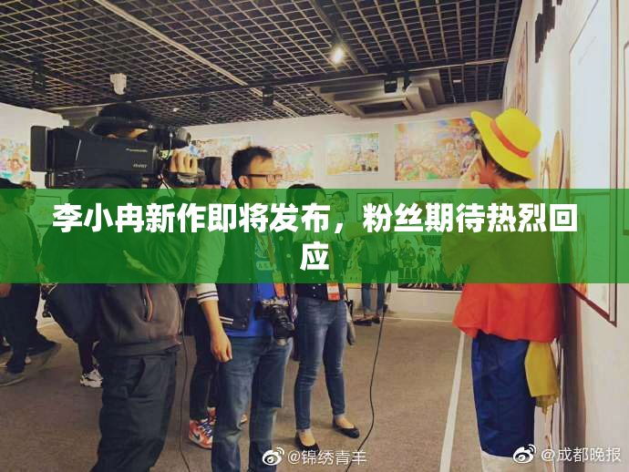 李小冉新作即将发布，粉丝期待热烈回应