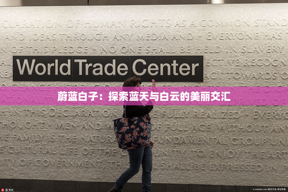 蔚蓝白子：探索蓝天与白云的美丽交汇