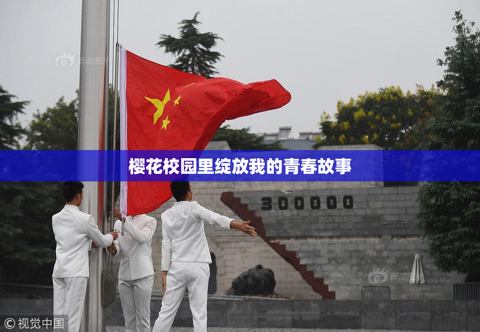 樱花校园里绽放我的青春故事