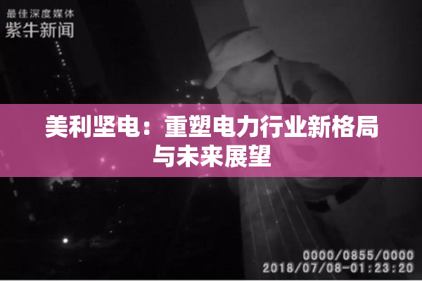 美利坚电：重塑电力行业新格局与未来展望