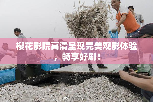 樱花影院高清呈现完美观影体验，畅享好剧！