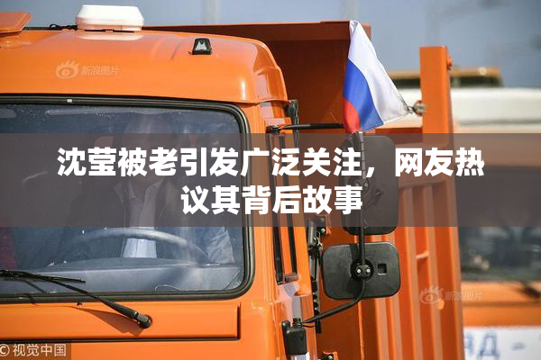 沈莹被老引发广泛关注，网友热议其背后故事