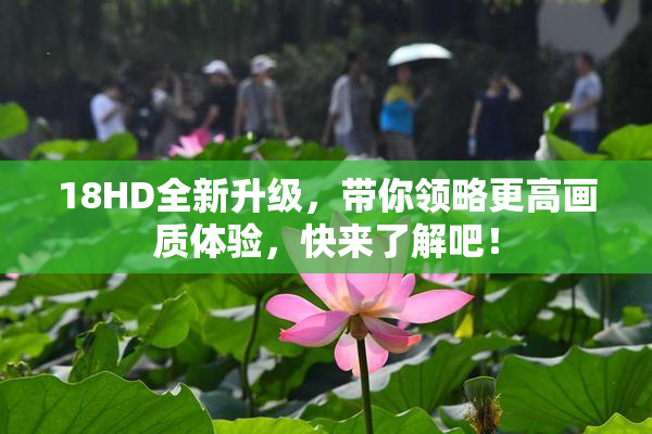 18HD全新升级，带你领略更高画质体验，快来了解吧！