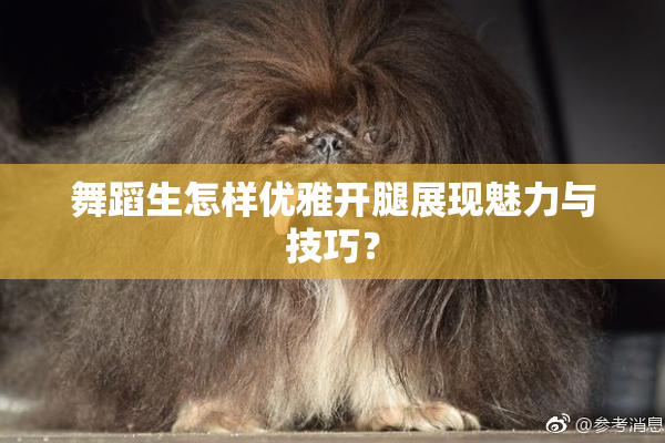 舞蹈生怎样优雅开腿展现魅力与技巧？