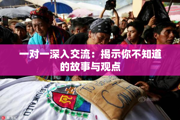 一对一深入交流：揭示你不知道的故事与观点