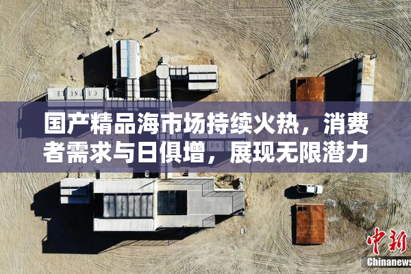 国产精品海市场持续火热，消费者需求与日俱增，展现无限潜力。