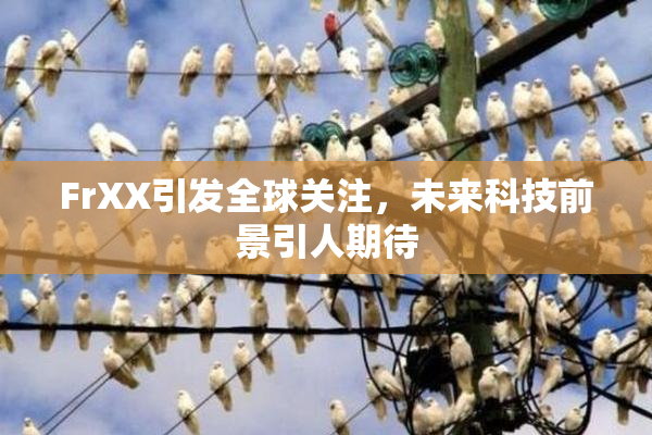 FrXX引发全球关注，未来科技前景引人期待