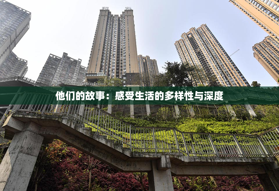 他们的故事：感受生活的多样性与深度