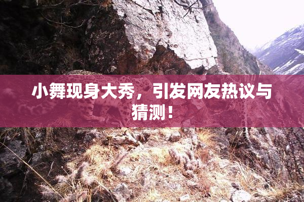小舞现身大秀，引发网友热议与猜测！