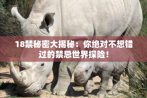 18禁秘密大揭秘：你绝对不想错过的禁忌世界探险！