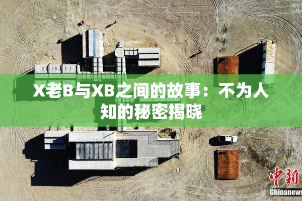 X老B与XB之间的故事：不为人知的秘密揭晓