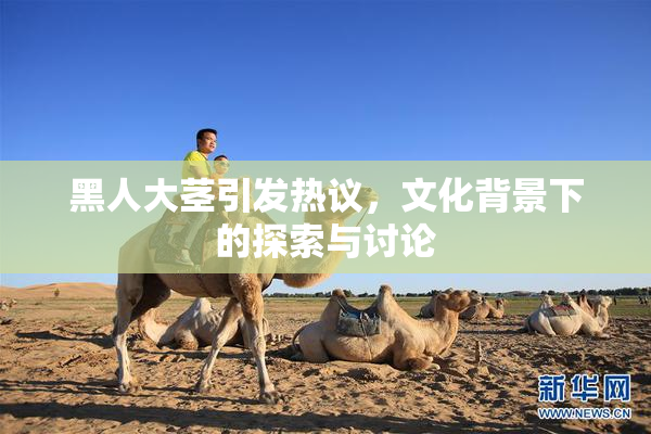 黑人大茎引发热议，文化背景下的探索与讨论