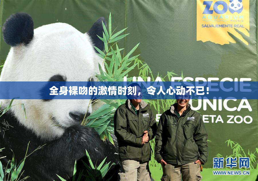 全身裸吻的激情时刻，令人心动不已！
