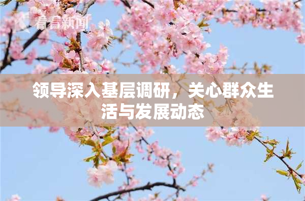 领导深入基层调研，关心群众生活与发展动态