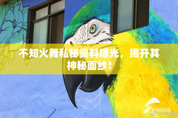 不知火舞私秘资料曝光，揭开其神秘面纱！