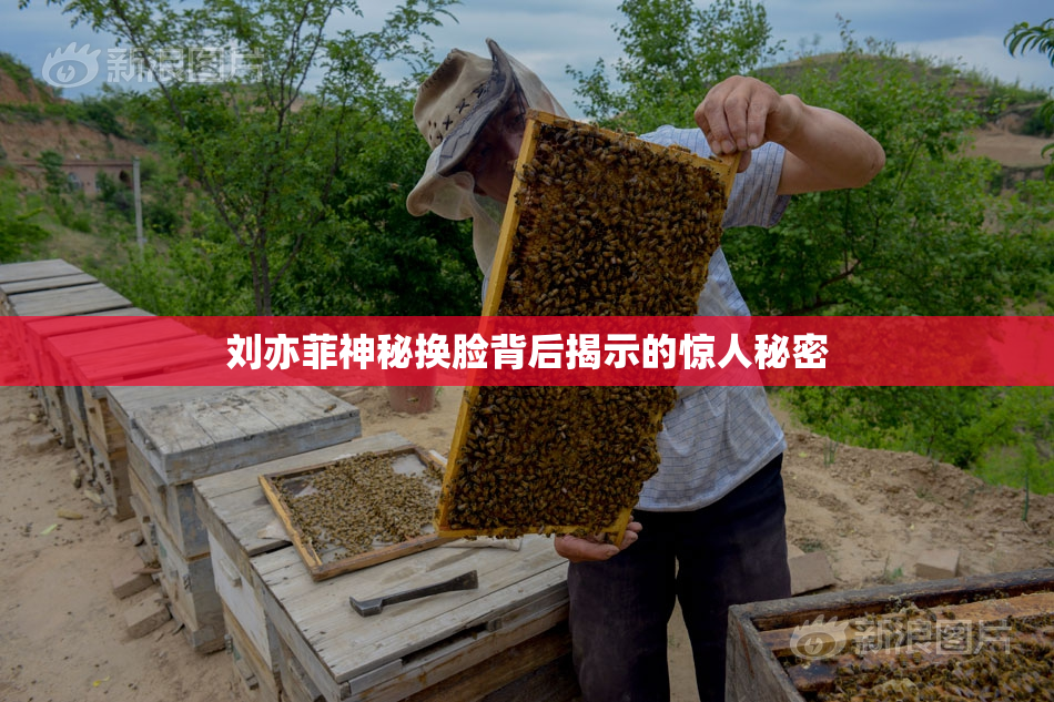 刘亦菲神秘换脸背后揭示的惊人秘密