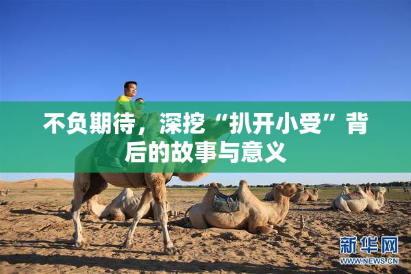 不负期待，深挖“扒开小受”背后的故事与意义