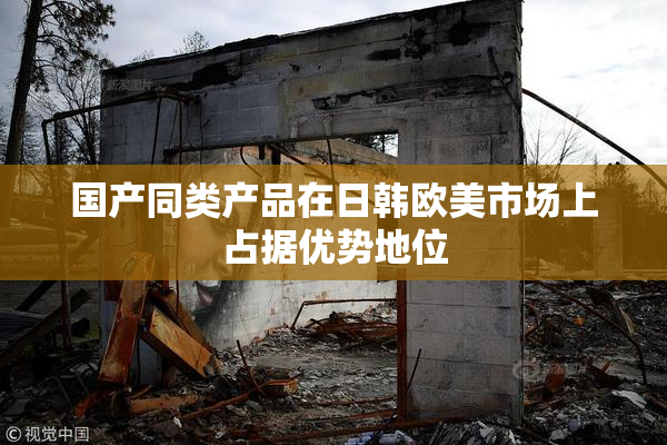国产同类产品在日韩欧美市场上占据优势地位