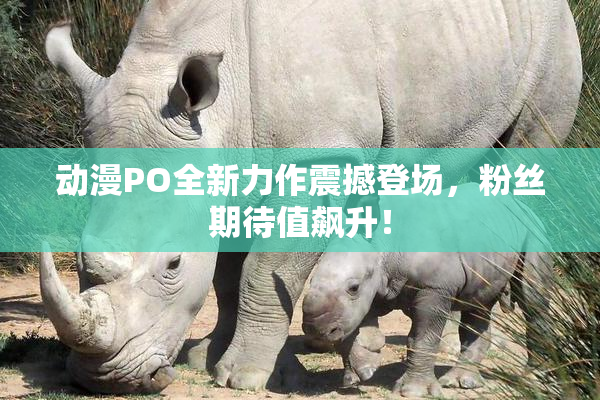 动漫PO全新力作震撼登场，粉丝期待值飙升！