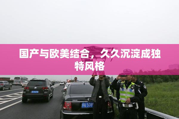 国产与欧美结合，久久沉淀成独特风格
