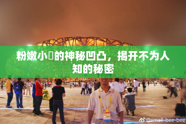 粉嫩小泬的神秘凹凸，揭开不为人知的秘密