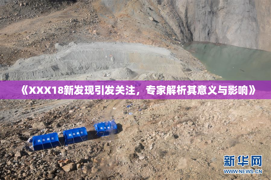 《XXX18新发现引发关注，专家解析其意义与影响》