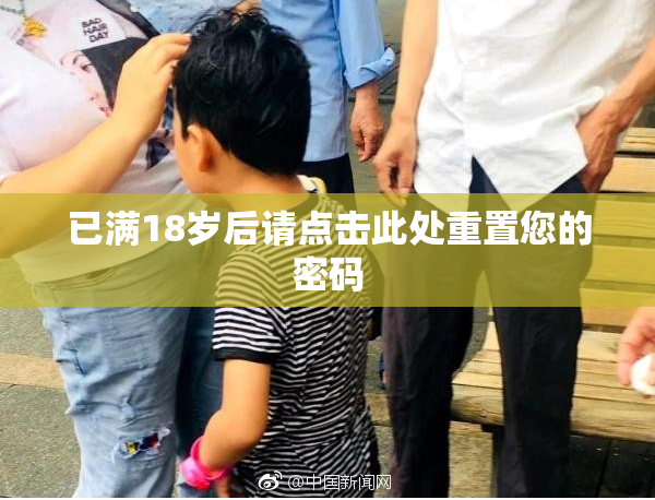 已满18岁后请点击此处重置您的密码