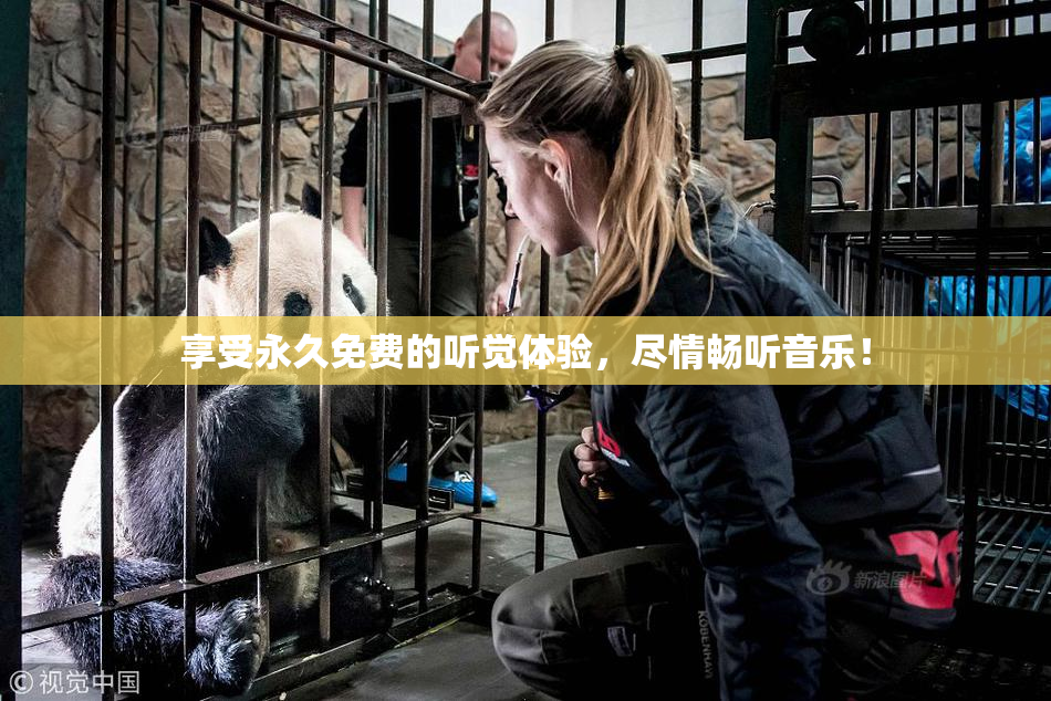 享受永久免费的听觉体验，尽情畅听音乐！