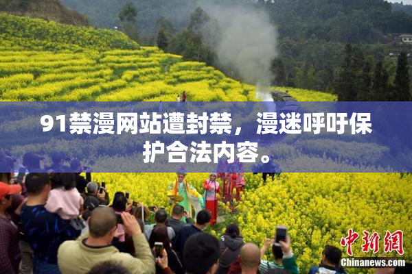 91禁漫网站遭封禁，漫迷呼吁保护合法内容。
