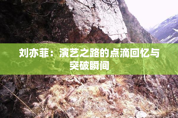 刘亦菲：演艺之路的点滴回忆与突破瞬间
