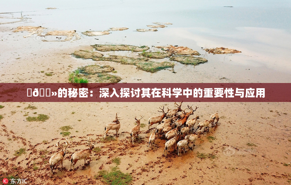 ‌🐻的秘密：深入探讨其在科学中的重要性与应用