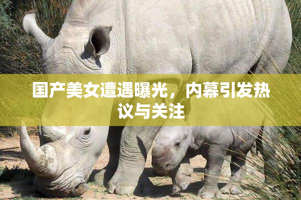 国产美女遭遇曝光，内幕引发热议与关注