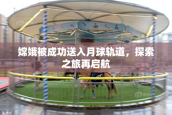 嫦娥被成功送入月球轨道，探索之旅再启航
