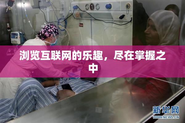 浏览互联网的乐趣，尽在掌握之中