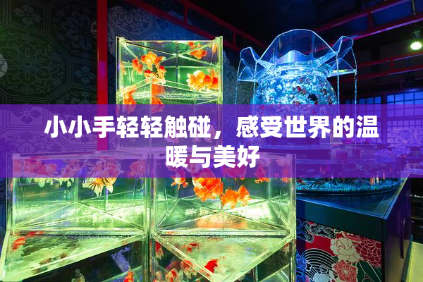 小小手轻轻触碰，感受世界的温暖与美好