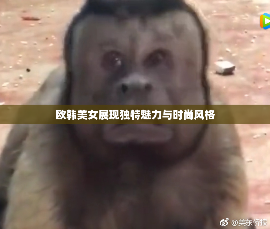 欧韩美女展现独特魅力与时尚风格