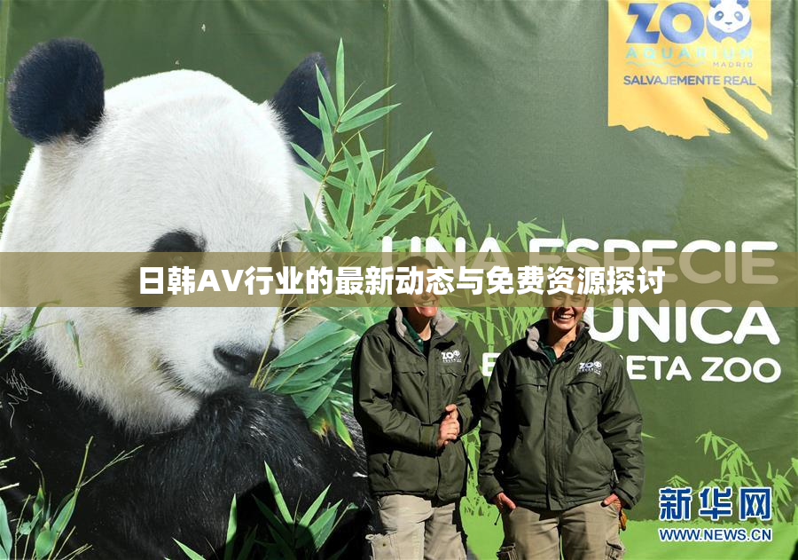 日韩AV行业的最新动态与免费资源探讨