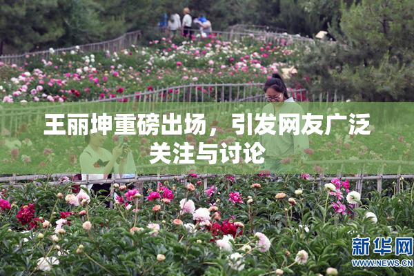 王丽坤重磅出场，引发网友广泛关注与讨论