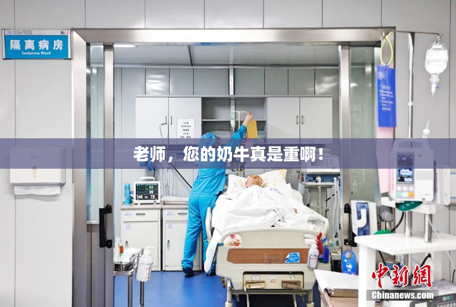 老师，您的奶牛真是重啊！