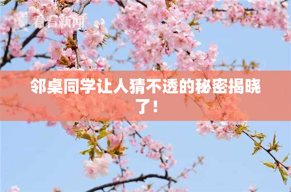 邻桌同学让人猜不透的秘密揭晓了！