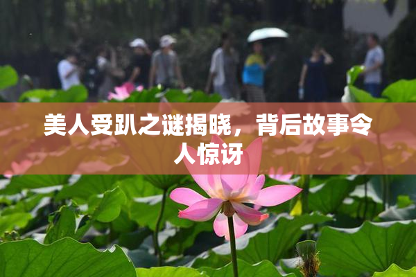 美人受趴之谜揭晓，背后故事令人惊讶
